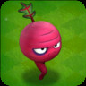 Beet