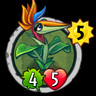 Bird of Paradise