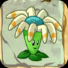 Bloomerang