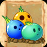 Bowling Bulb
