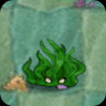 Bramble Sea Grass