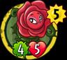 Briar Rose
