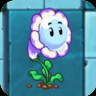 Bubble Flower
