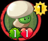 Button Mushroom