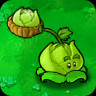 Cabbage-pult