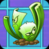 Celery Stalker