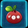 Cran Jelly