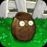 Crater-nut