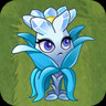 Crystal Orchid