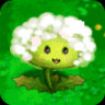 Dandelion (EE)