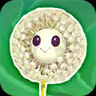 Dandelion Weed