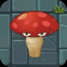 Flat-shroom