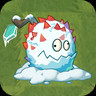 Frost Rambutan