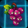 Grapeshot