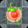 Groundcherry