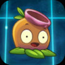 Gumnut