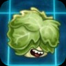 Headbutter Lettuce