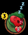Hibernating Beary