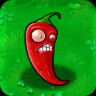 Jalapeno