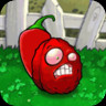 Jalapeno Wall-nut