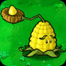 Kernel-pult