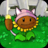 Kitty Sunflower