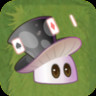 Magic-shroom