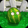Melon-nut