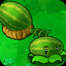 Melon-pult