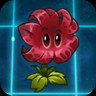 Meteor Flower