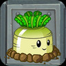 Mischief Radish