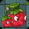 Mulberry Blaster