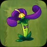 Nightshade