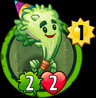 Party Thyme