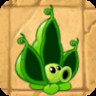 Pea Pod
