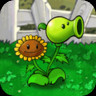 Pea Sunflower