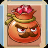 Pomegranate Jeweler