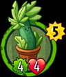 Potted Powerhouse