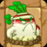 Resistant Radish