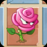 Rose Swordfighter