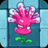 Sea Anemone