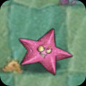 Sea Starfruit