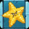 Sea Starfruit (Online)