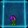 Shrinking Violet