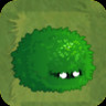 Small Bush