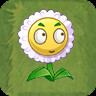 Small Daisy