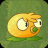 Small Kumquat