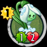 Snow drop