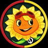 Solar Flare