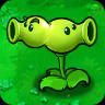 Split Pea